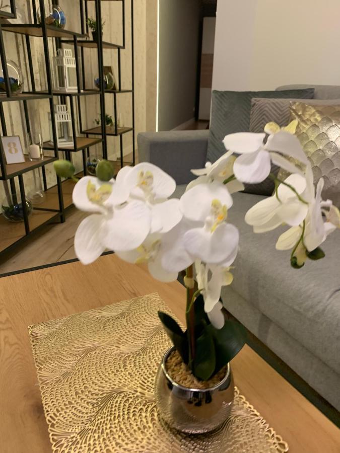 Moderno Apartment *